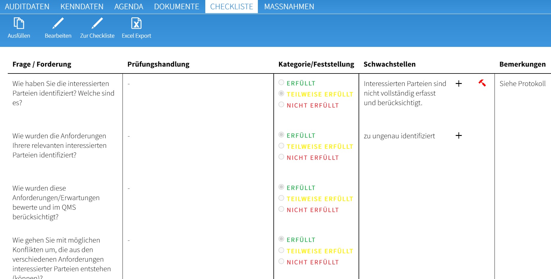 Audit Software Checkliste