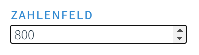 Datenqualität Zahlenfeld im QM-Pilot