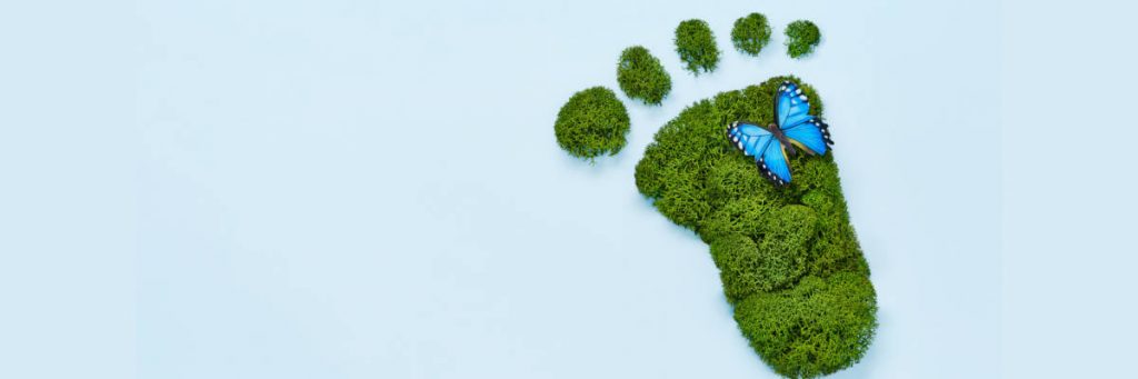 Nachhaltigkeit Umweltmanagement-ISO 14001