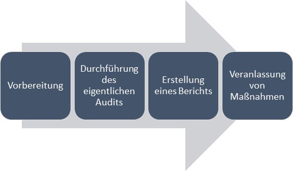 Audit-Software Ablauf Audits