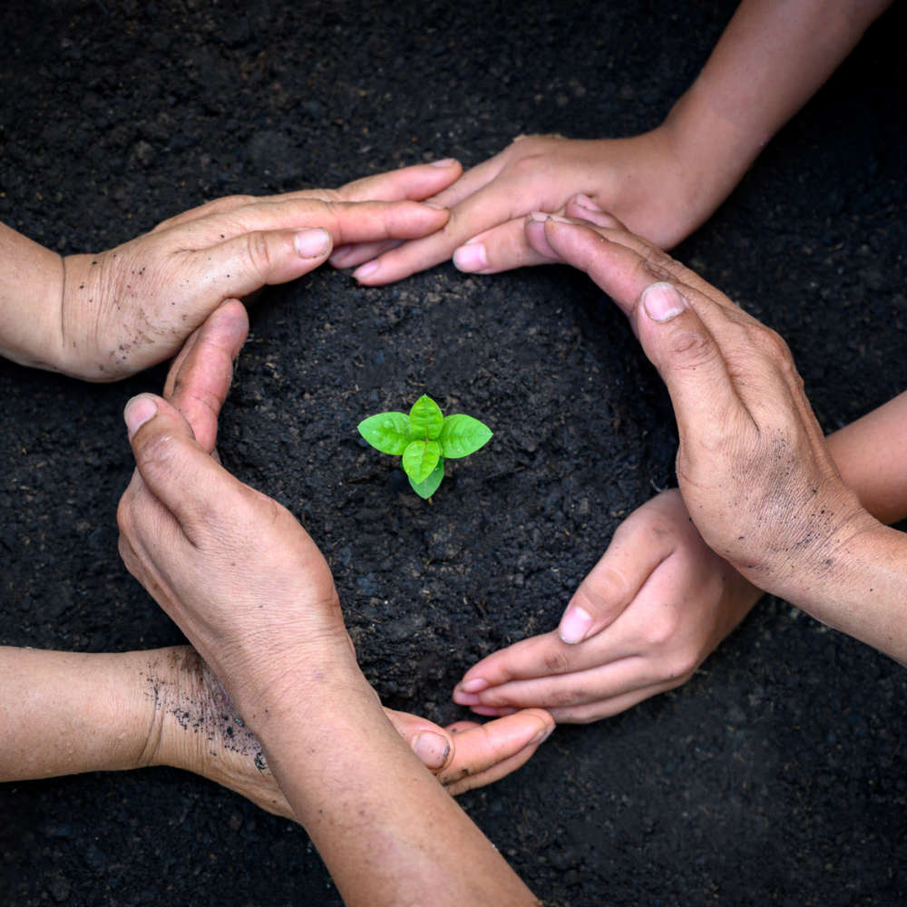 Schutz von Umwelt und Natur Umweltmanagementsystem